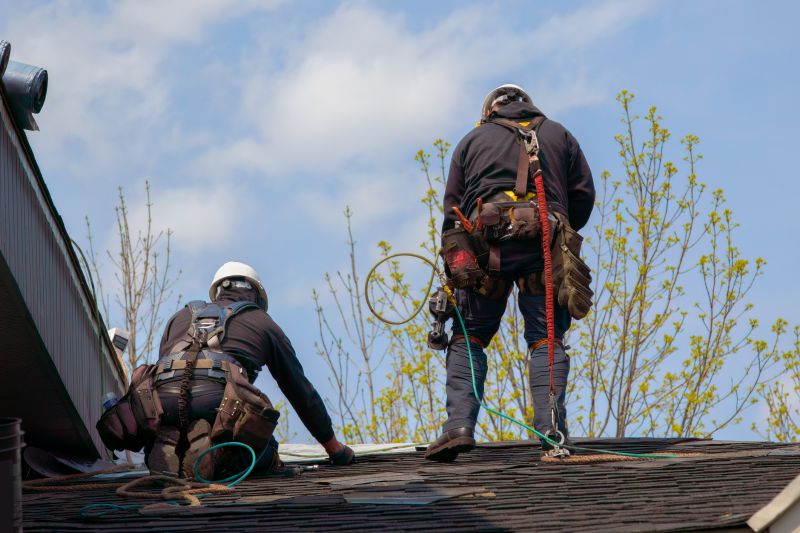 Professional Roofing Crew